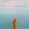 Andrew McMahon in the Wilderness