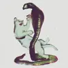 The Cat and the Cobra