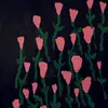 Fire of Love