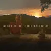 Echoes in the Valley