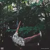 fish don't climb trees