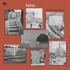 Wilds