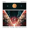 Longing to Be the Mountain