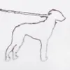 portrait of a dog