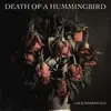 Death of a Hummingbird