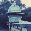 Froggy's