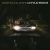 Little Seeds