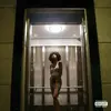 Pregnant With Success