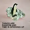 Things Are Random And Time Is Speeding Up