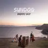 Sundog