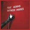 Witness Marks