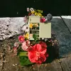 The Fridge 2