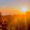 Flat Sun Society