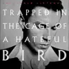 Trapped in the Cage of a Hateful Bird