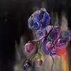 Wish On The Bone