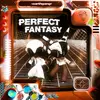 Perfect Fantasy