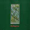 Michigander
