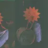 Teeth of Time