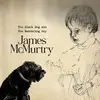 The Black Dog and the Wandering Boy
