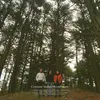 Moonflowers