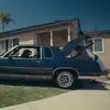 Dogs in the Front Yard