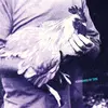 Catching Chickens
