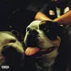 Bulldawg