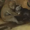 Almost Walking