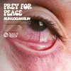 Prey for Peace