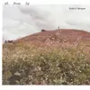 Hill, Flower, Fog