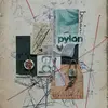 Pylon