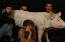 Big Cream