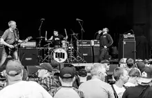 Black Flag