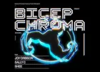 Bicep Present Chroma (Av DJ Set)