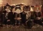 Fantastic Cat - Album Release Show