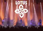 Lotus - Saturday Only