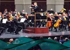 Florida Orchestra