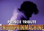 Endorphinmachine Prince Tribute