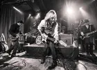 The Damn Torpedoes (a Tribute to Tom Petty and the Heartbreakers)