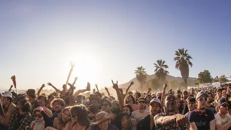 Desert Daze