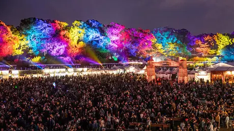 Outside Lands