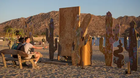 Desert Daze