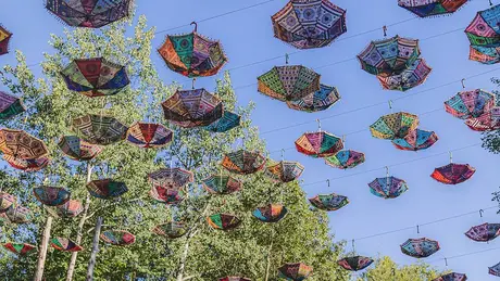 Electric Forest scene