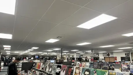 Rhino Records
