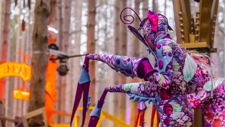 Electric Forest scene