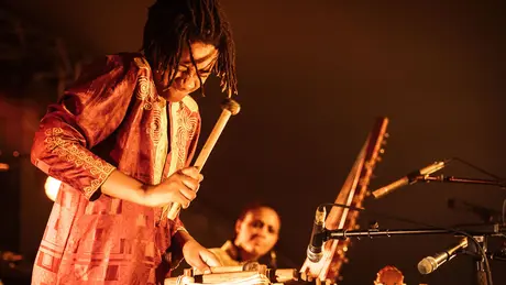 WOMAD scene
