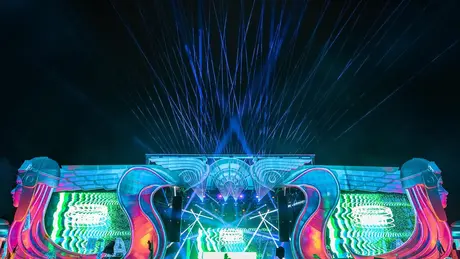 Electric Forest scene