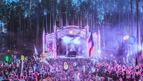 Electric Forest scene
