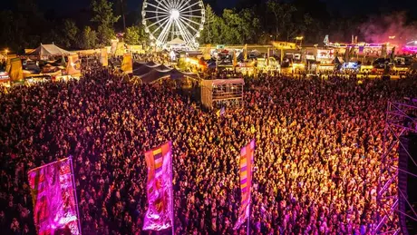 WOMAD scene