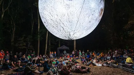 WOMAD scene